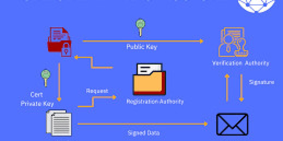 Public Key Infrastructure Market: Securing Digital Identities in a Zero-Trust Era
