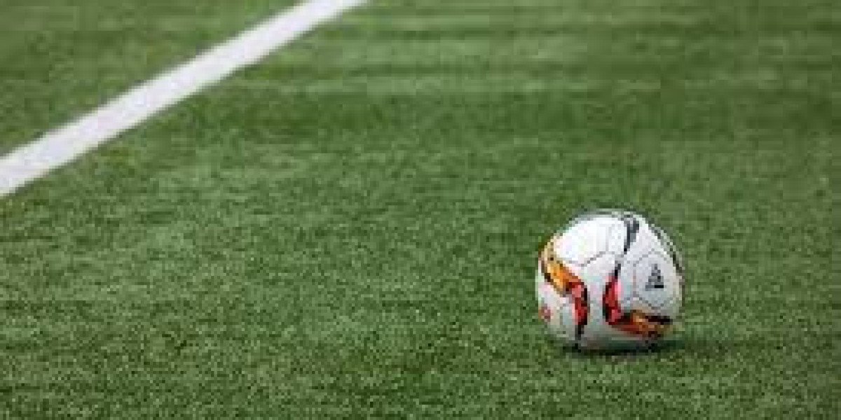 Experts Predict North America Artificial Turf Market Competitive Landscape Demand Surges