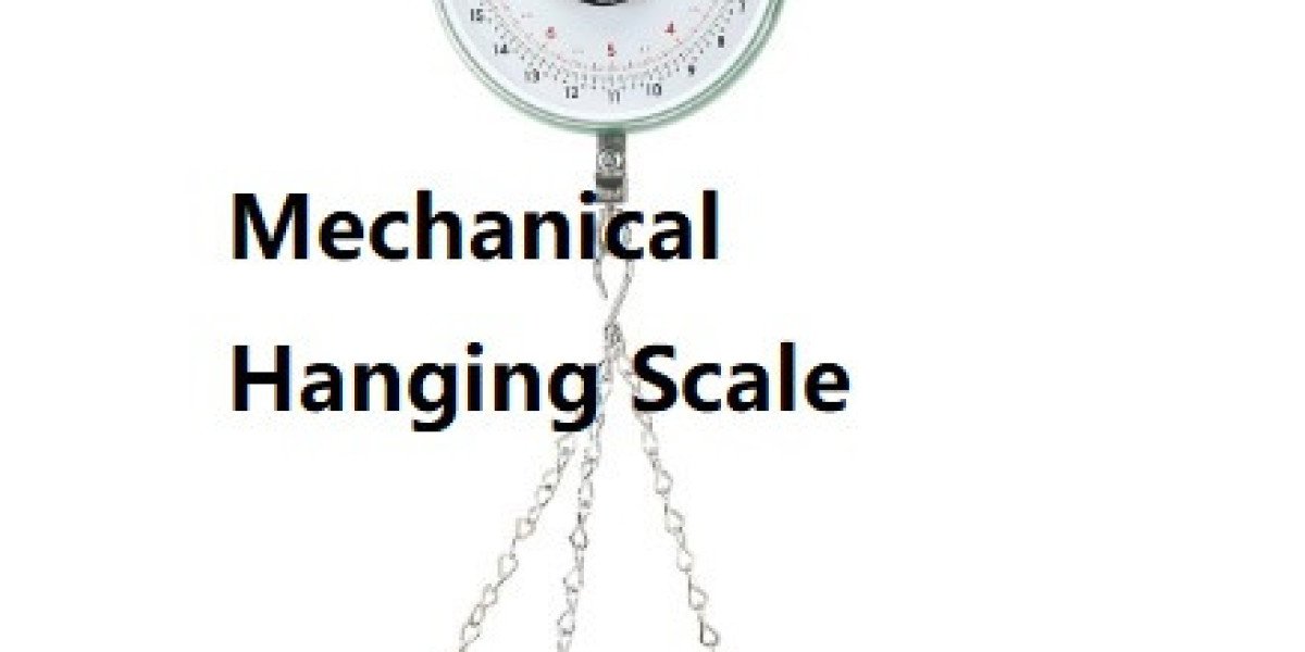 Mechanical Hanging Scale Chinazhengya Precision Measurement Solution