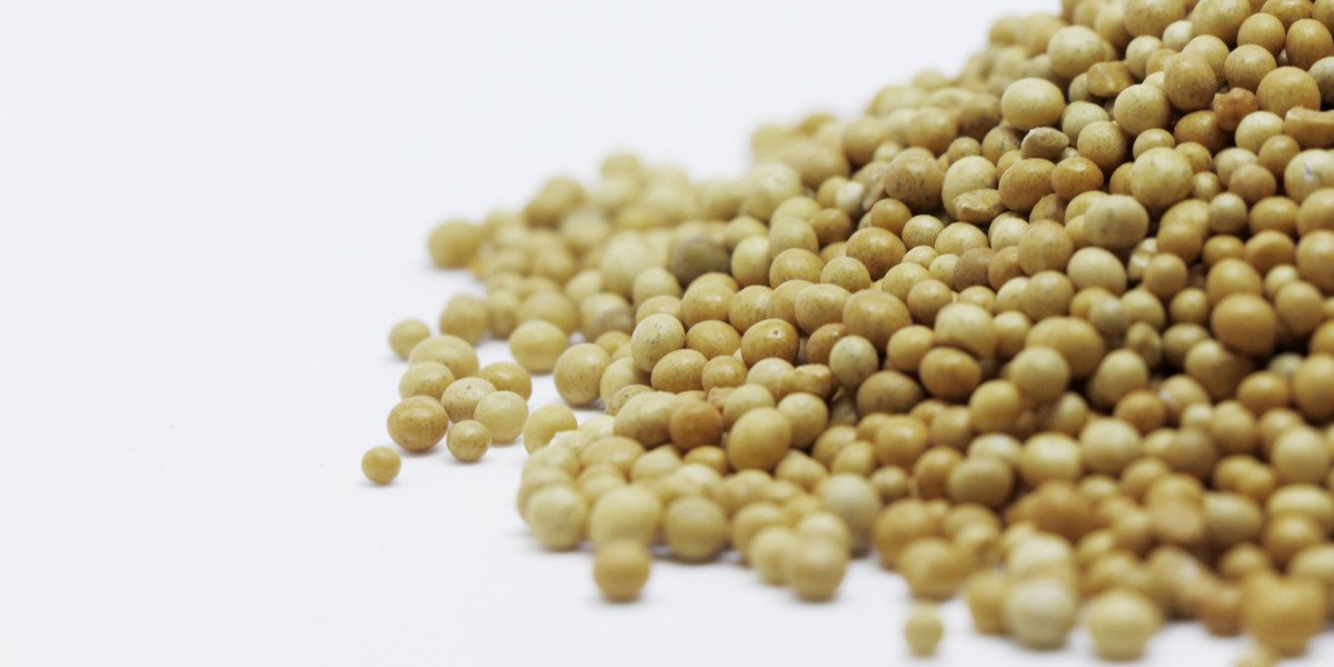 Global Iron Microencapsulated Beadlets Market | Segments, Size and Demand, Dynamics