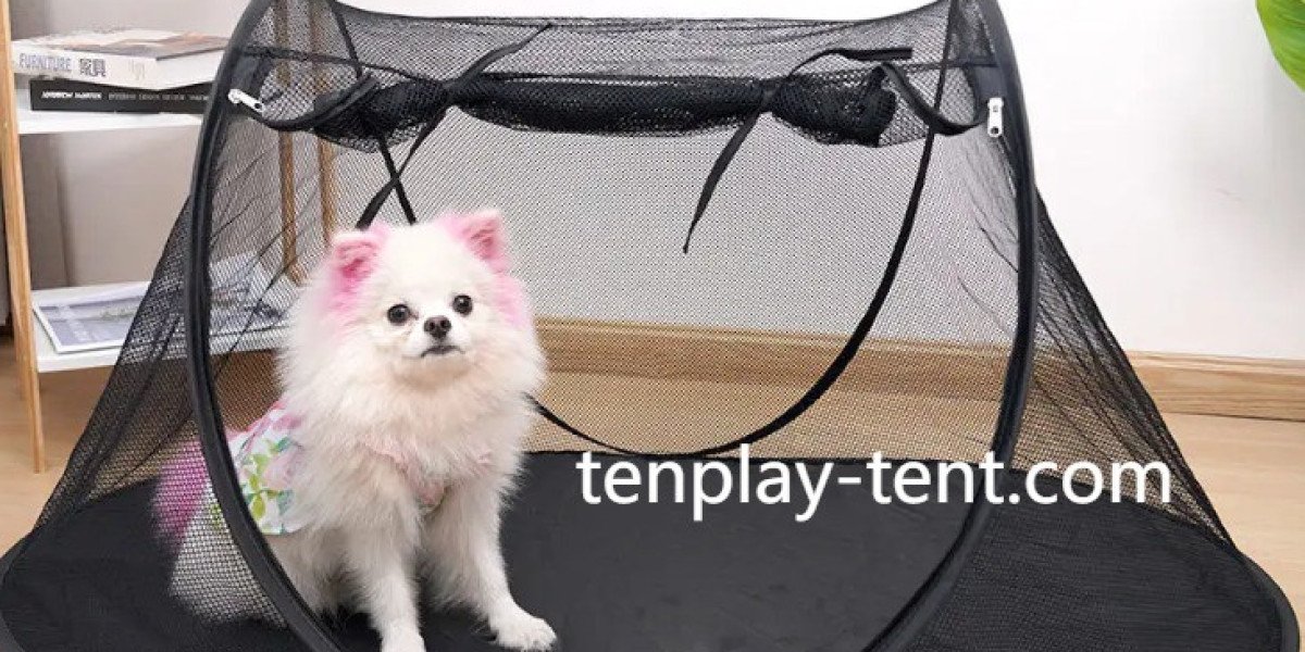 Why Pet Tent Products Continue to Grow in Demand